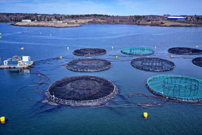 Aquaculture industry