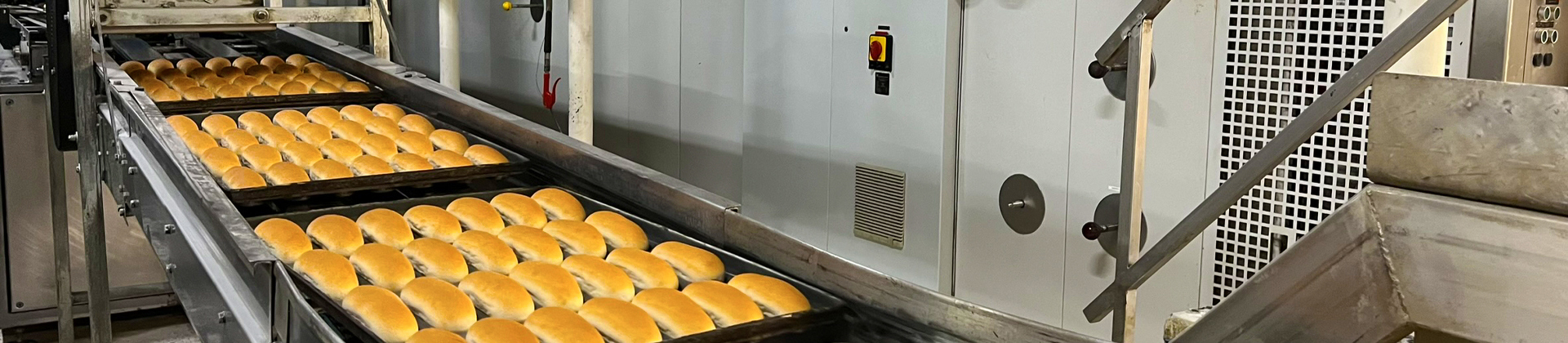 Conveyor line of hot dog buns at Kohberg Bakery