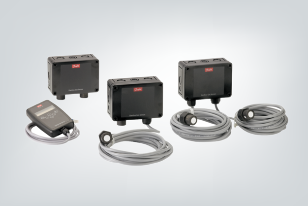 DGS GAS Detector
