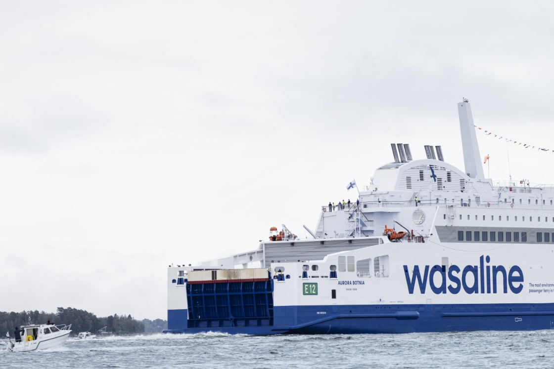 Wasaline from the back