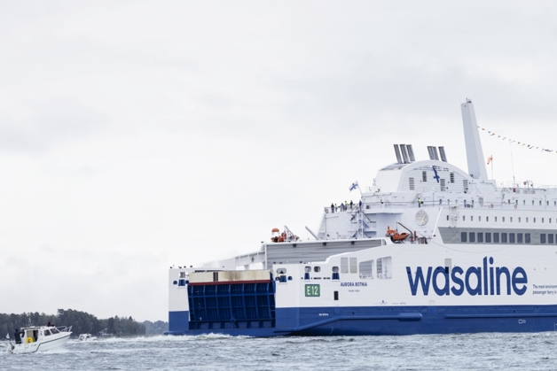 Wasaline from the back