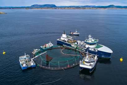 Marine applications