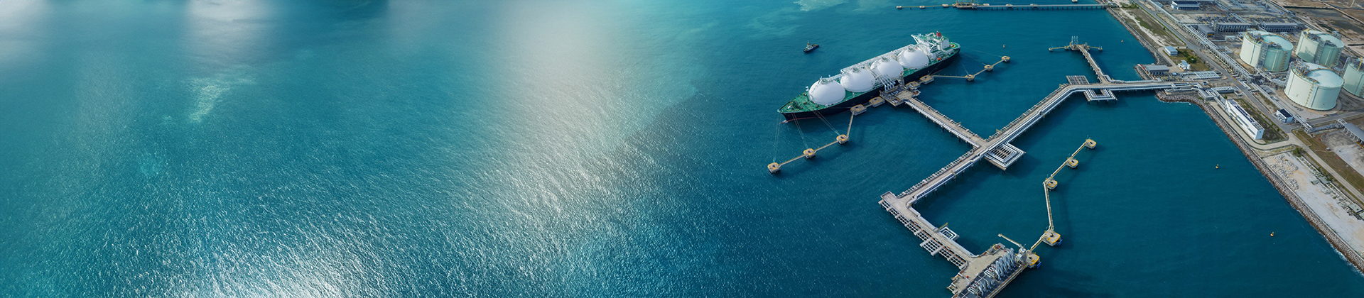 The future of renewable energy