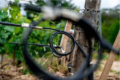 Vineyard frost protection in Chablis, France