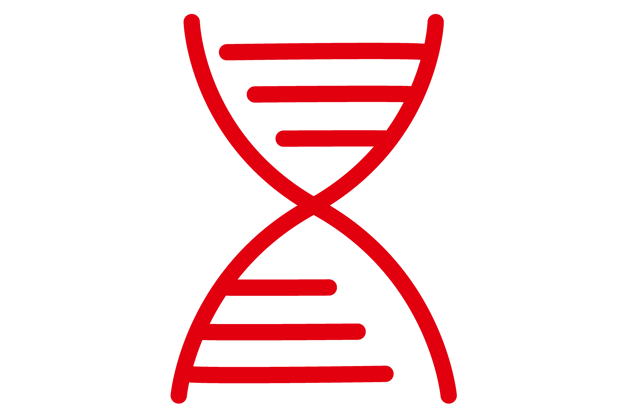 Join a family owned company with a strong DNA