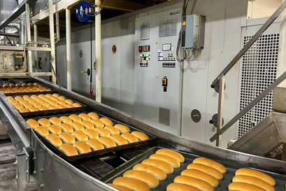 Conveyor line of hot dog buns at Kohberg Bakery