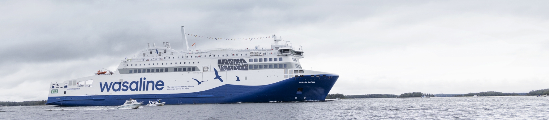 Wasaline ferry on open water