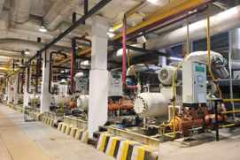 Ananda food innovative