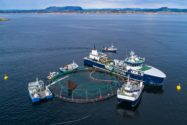 SWRO and aquaculture