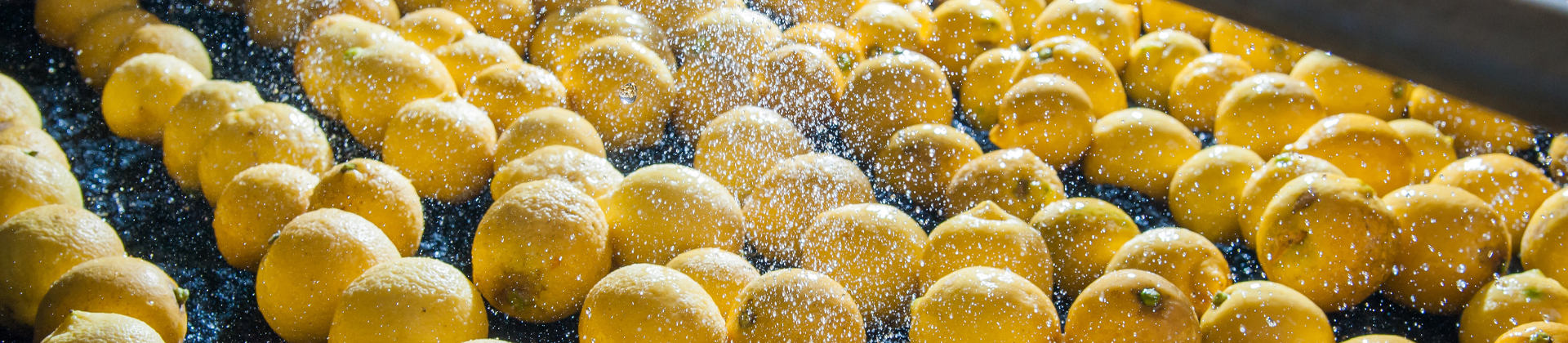 Efficiency and hygiene are key