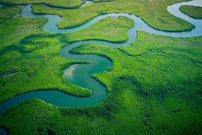 Solutions for decarbonization